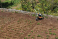 Культиватор STIHL MH 560