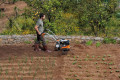 Культиватор STIHL MH 560